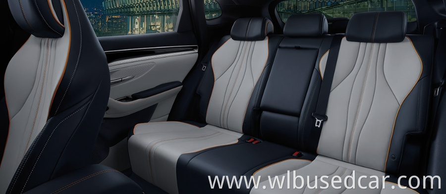 Byd Song Plus Dm I Interior Decor